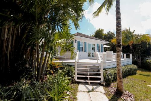 High Tide — deck through the palms