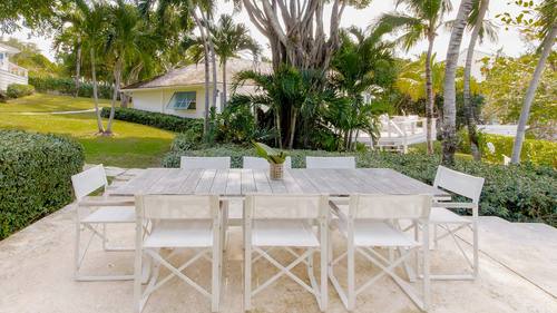 Outdoor dining beneath the palms
